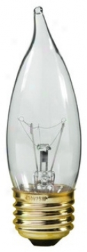 Candelabra 25-watt Medium Base Clear Bulb (25132)
