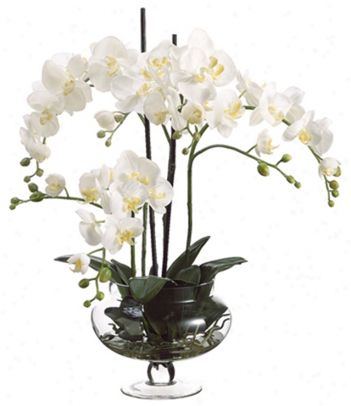 Cream Orchids In Clear Glass Vase Faux Flowers (n6668)