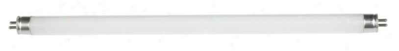 F8t5 Fluorescent 12" Warm White Light Bulb (10064)