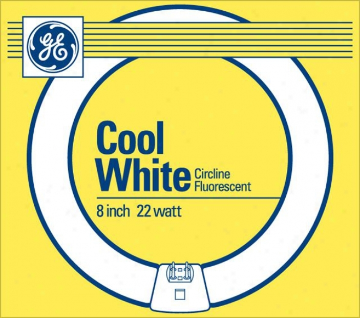 Ge Cool White 22 Watt / 8" Circline Fluorescent (98038)