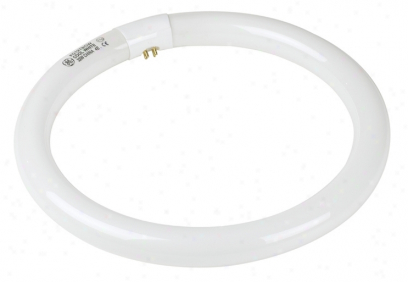 Ge Cool White Circline 12" 32-watt Fluorescent Light Bulb (98040)