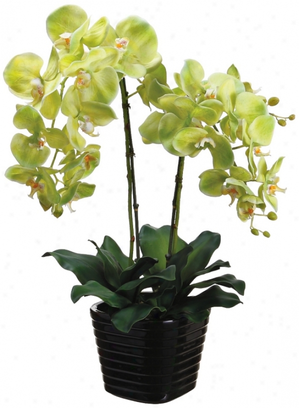 Green Phalaenopsis 24" High Potted Faux Silk Orchids (w7609)