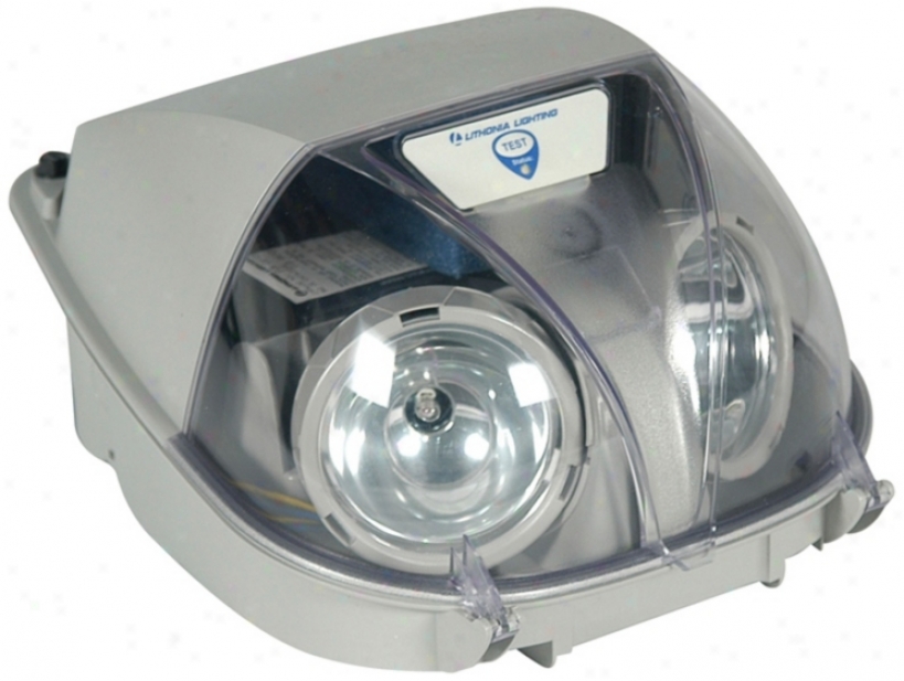 Grey Two-light Bug Eye Emergency Light (39477)
