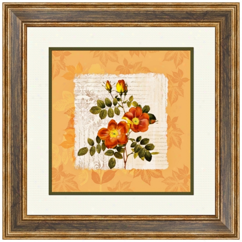 Orange Floral Ii 20 1/2" Square Framed Wall Art (x2135)