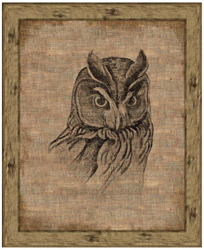 Owl On Antique Linen 17" High Framed Wall Art (y4130)