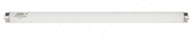 T12 Cool White 24" Fluorescent Tube Light Bulb (02046)