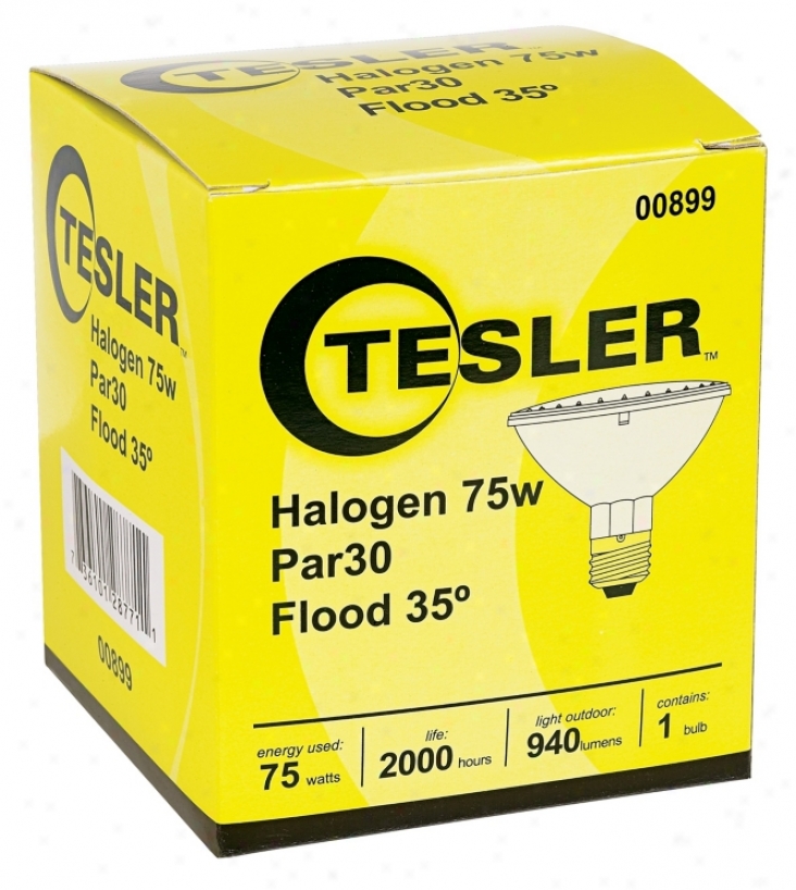Tesler Par30 75 Watt Flood Light Bulb (00899)