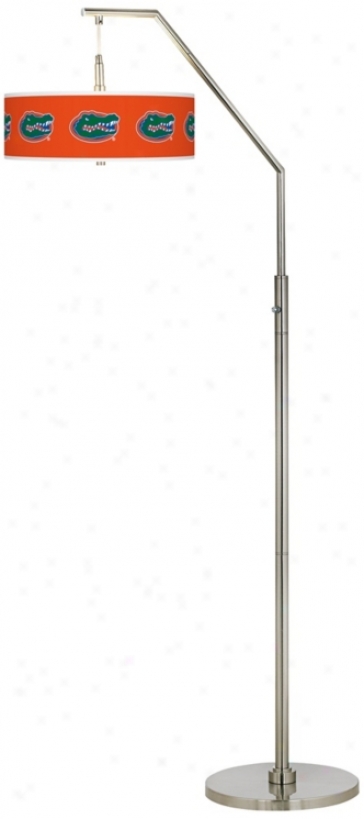 Seminary of learning Of Florida Brushed Nickel Arc Floor Lamp (h5361-y4705)