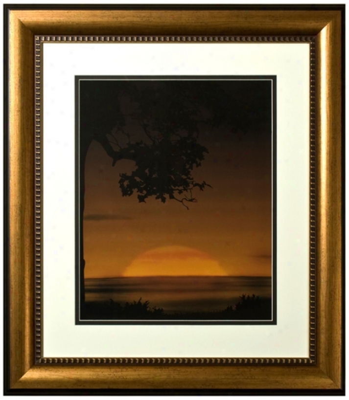 Walt Disney The Lion King Sunset Framed 30" High Wall Practical knowledge (j2881)