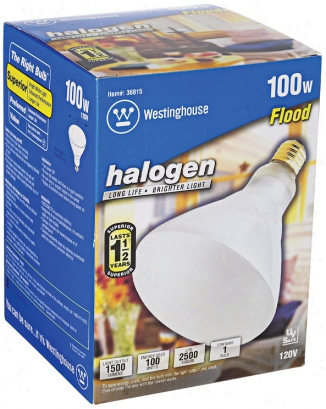 Westinghouse 100 Watt Halogen Flood Light Bulb (46161)