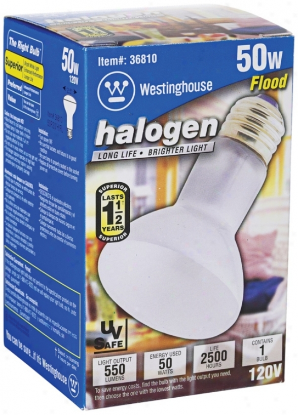 Westinghouse Halogen Floodlight Bulb (46164)
