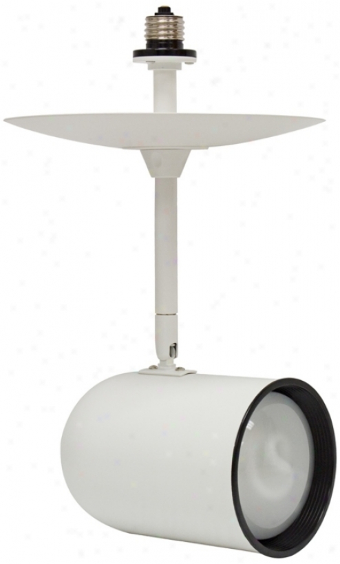 White R30 Bulb Recessed Light Extender (r0882)