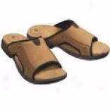 Acorn Jaunt Slides (for Men)