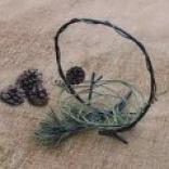 Ancient Graffiti Pine Cone Basket