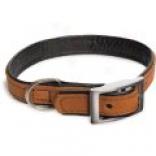 Aurora Pet Products Leather Collar - 5/8
