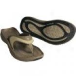 Columbia Footwear Sun Chill Thong Sandals (for Men)