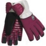 Drop Mongrel Soft Shell Gloves - Waterproof Insulated  (for Men)