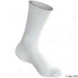 Polypropylene Liner Socks (for Men And Women)