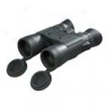 Steiner Peregrine Binoculars  -10x42, Waterproof