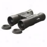 Steiner Predator Binoculars - 8x42