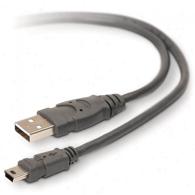 Belkin Usb A/ Mini B Cable