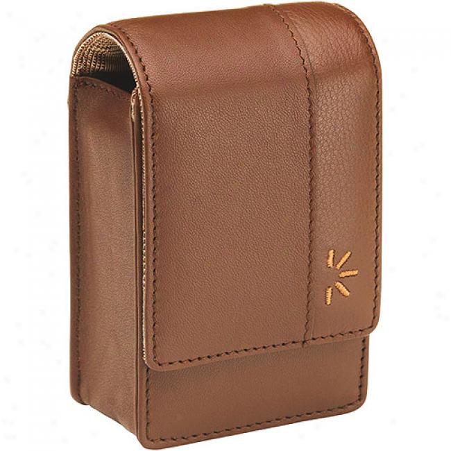 Case Science of reasoning Compact Leather Camera Case - Brown