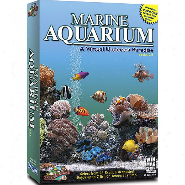 Marine Aquarium 2.5 Virtual Undersea Paradise Screensaver