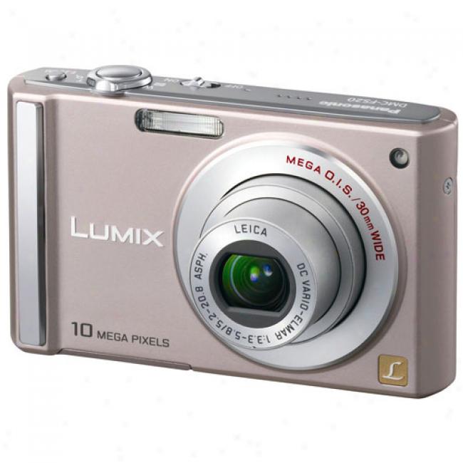 Panasonic Lumix Dmc-fs20 Paragon 10 Mp Digital Camera, 4x Optical Zoom & 3
