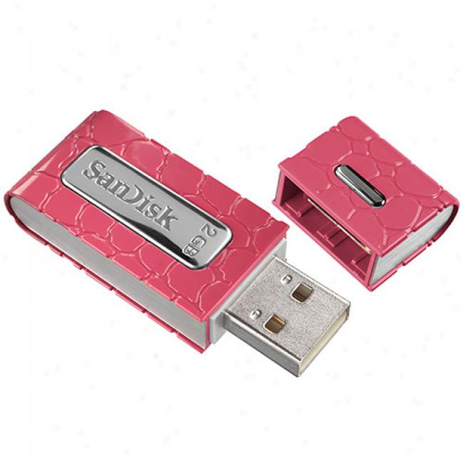 Sandisk 2gb Cruzer Gatoor Usb 2.0 Flash Drive, Pink