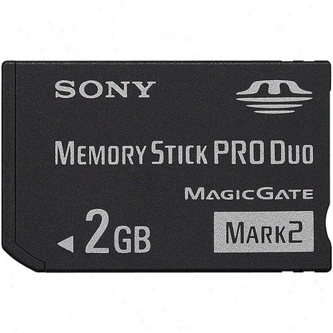 Sony 2gb Memory Stick Pro Duo Indication 2