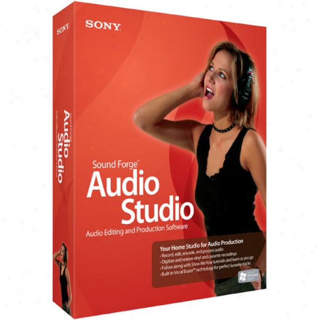 Sony Media Software Sound Forge Audio Studuo 9 (pc)