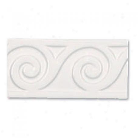 Adex Usa Neri Classic Listello White Tile & Face with ~