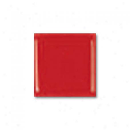 Adex Usa Neri Dot Flat Red Tile & Stone