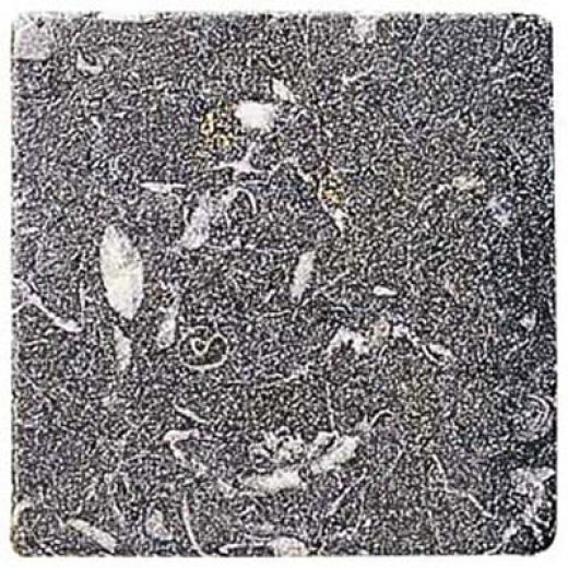 Alfagres Tumbled Marble 4 X 4 Tocetos Negro Tile & Stone