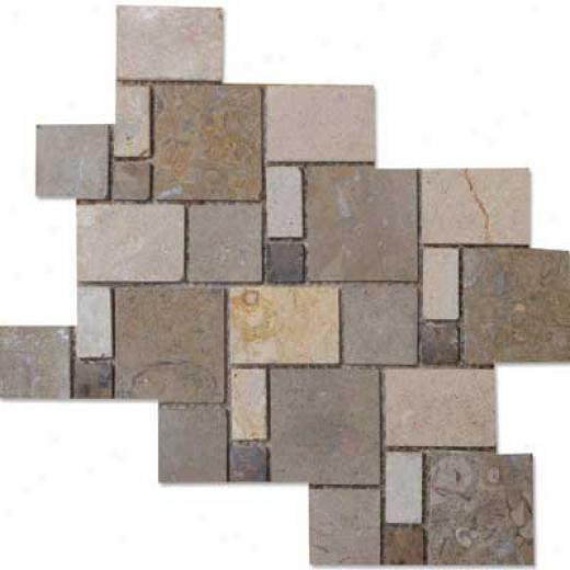 Alfagres Tumbled Marble Puzzle Stone 8 1/8 X 10 5/8 Perlatto Cafe Pinto Marron Emperador Tile & Stone