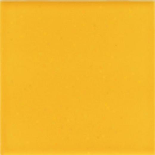 American Olean Bright 4 X 4 Lemon Zest Tile & Stone