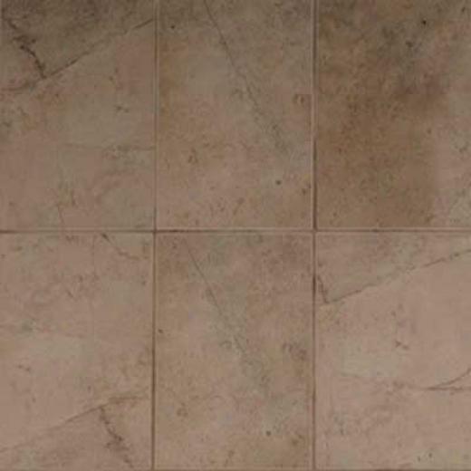 American Olean Costa Rei 10 X 14 Terra Marrone Tile & Free from ~s