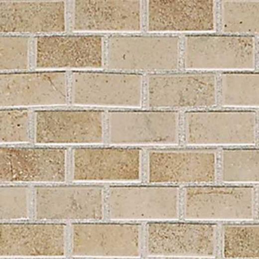 American Olean Costa Rei Mosaic 1 X 2 Oro Miele Tile & Stone