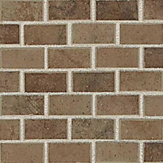 American Olean Costa Rei Mosaic 1 X 2 Terra Marrone Tile & Stone