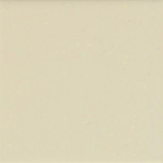 American Olean Mattw 4 X 4 Matte Sand Dollar Tile & Stone