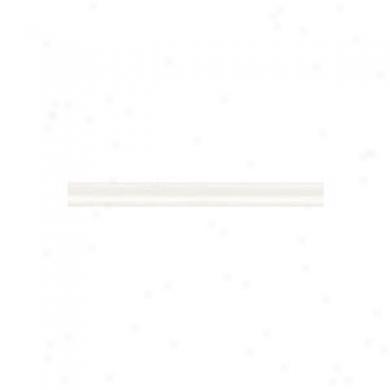 American Olean Sizle Strips 6 X 1/2 Icee White Tile & Stone