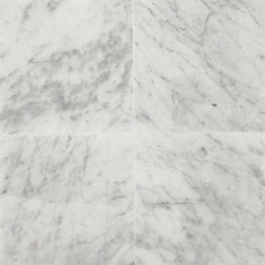 American Olean Stone Source 12X  12 White Carrara Tile & Stone