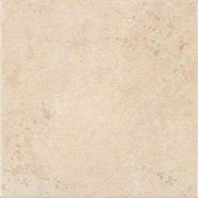 Armstrong Artifact Room 12 X 12 Antique White Tile & Stone