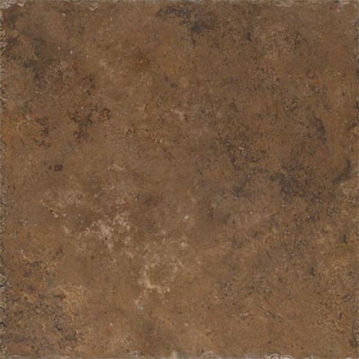 Cerdomus Hymera 18 X 18 Brown Tile & Stone