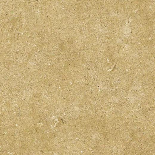 Cinca Limestone 10 X 20 Rectified Gold Tile & Stone
