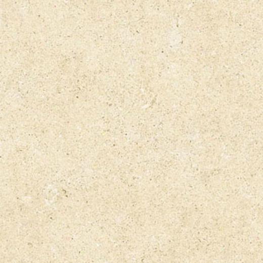 Cijca Limestone 20 X 20 Rectified Cream Tile & Stone