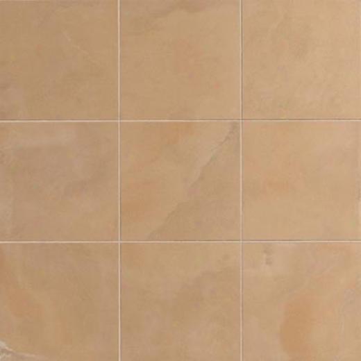 Crossville Buenos Aires Mood 4 X 24 Polished Recoleta Tile & Stone