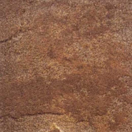 Daltile Ardesia 18 X 18 Marrone Tile & Stone