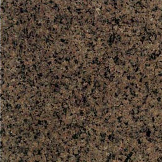 Daltile Granite 18 X 18 Tropical Brown Tile & Stone