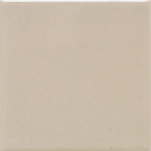 Daltile Keystones Permabrites Mosaic 2 X 2 Urban Putty Tile & Stone